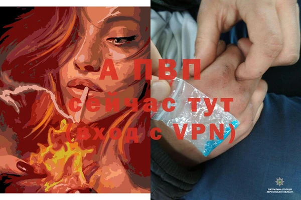 гашик Фурманов
