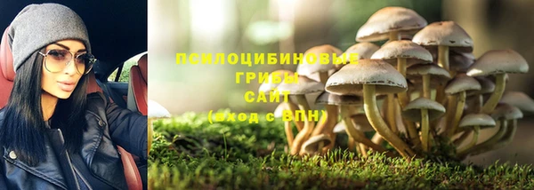 таблы Белокуриха