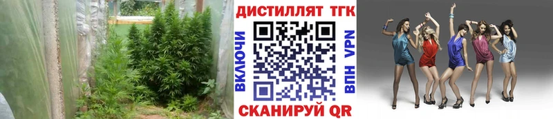 ТГК концентрат  Купить  Ейск 