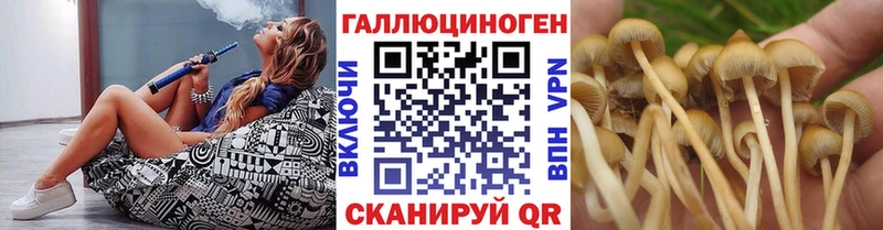 Купить закладки Ейск Галлюциногенные грибы мухоморы
